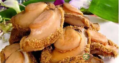 杂色鲍的吃法_哪些人不能吃杂色鲍