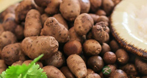 山药蛋的吃法_哪些人不能吃山药蛋