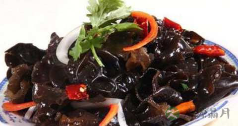 毛木耳的吃法_哪些人不能吃毛木耳