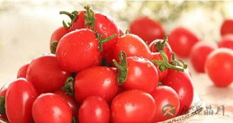 樱桃番茄的吃法_哪些人不能吃樱桃番茄 樱桃番茄的吃法_哪些人不能吃樱桃番茄