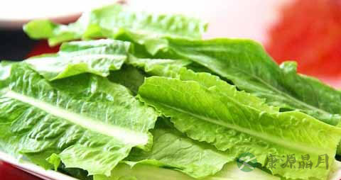 牛俐生菜的吃法_哪些人不能吃牛俐生菜