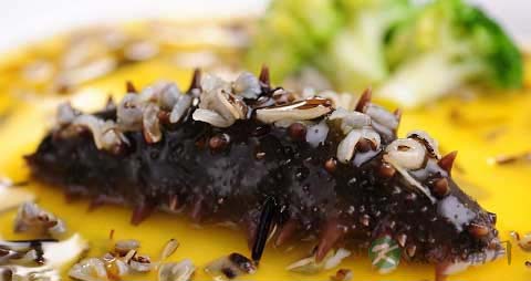 水浸海参的营养价值_吃水浸海参的好处