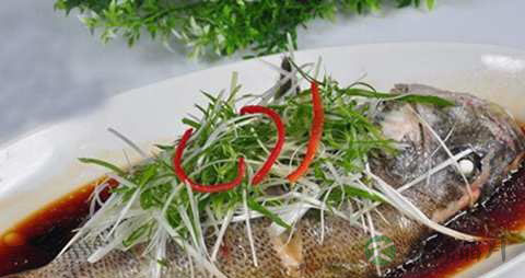 加吉鱼的营养价值_吃加吉鱼的好处