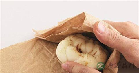 新鲜百合怎么做不苦