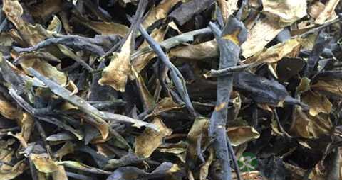 干荷叶和冬瓜皮怎么泡水喝 干荷叶和冬瓜皮怎么泡水喝