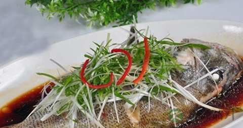 加吉鱼的吃法_哪些人不能吃加吉鱼 加吉鱼的吃法_哪些人不能吃加吉鱼