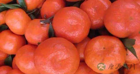 三湖红桔的营养价值_吃三湖红桔的好处 三湖红桔的营养价值_吃三湖红桔的好处