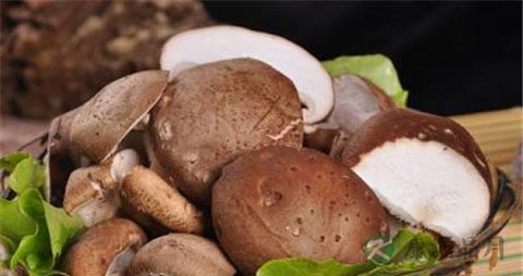 怎么快速泡发香菇