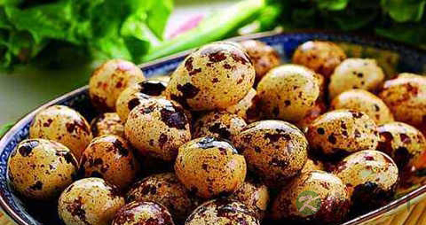 鹧鸪蛋的营养价值_吃鹧鸪蛋的好处