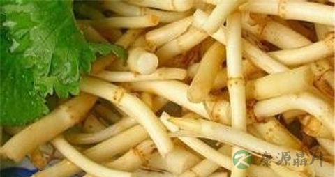 折耳根的营养价值_吃折耳根的好处