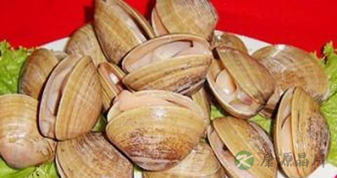 黄蚬的吃法_哪些人不能吃黄蚬