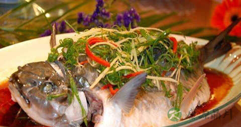 石斑鱼的营养价值_吃石斑鱼的好处 石斑鱼的营养价值_吃石斑鱼的好处