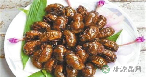 知了猴的吃法_哪些人不能吃知了猴