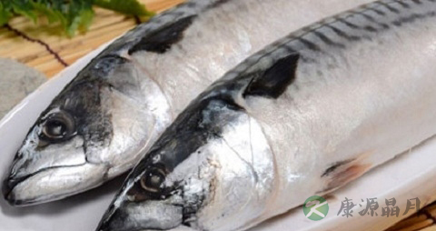 鳕狭的营养价值_吃鳕狭的好处 鳕狭的营养价值_吃鳕狭的好处