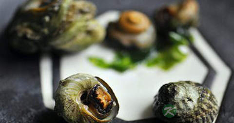 尖波螺的营养价值_吃尖波螺的好处