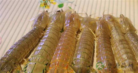 虾婆婆的营养价值_吃虾婆婆的好处