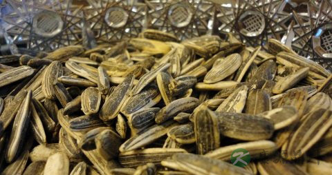 什么水果不含草酸