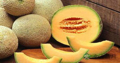 灵蜜瓜的营养价值_吃灵蜜瓜的好处