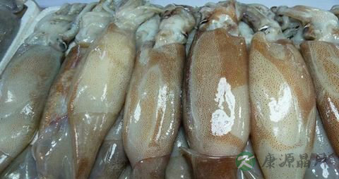 新鲜鱿鱼怎么处理