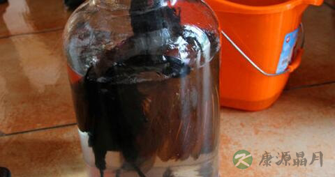 红毛鸡泡酒配方