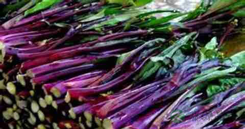 菜薹的营养价值_吃菜薹的好处