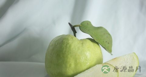 番石榴怎么样才算熟 番石榴怎么样才算熟