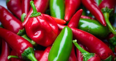 自制辣椒油可以放多久