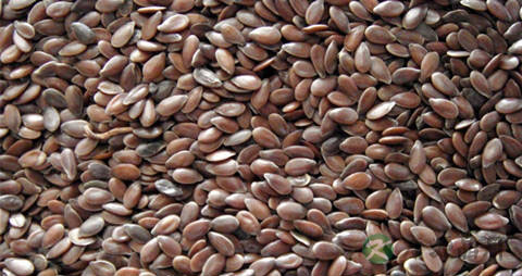 亚麻籽的吃法_哪些人不能吃亚麻籽