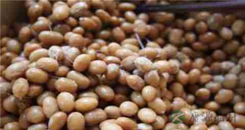 纳豆的营养价值_吃纳豆的好处