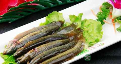 泥鳅的吃法_哪些人不能吃泥鳅