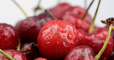 车厘子吃多了会怎样