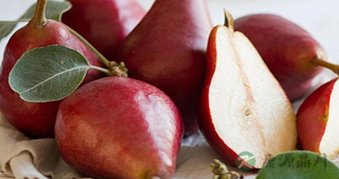 红啤梨的吃法_哪些人不能吃红啤梨