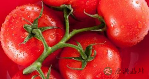 西红柿怎么生吃 西红柿怎么生吃