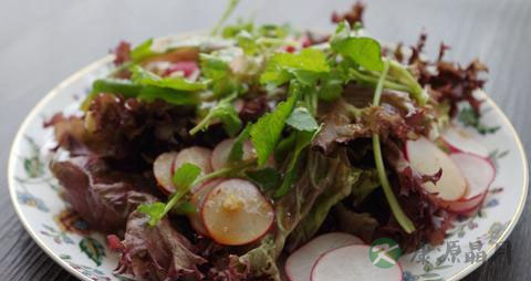 紫叶生菜的吃法_哪些人不能吃紫叶生菜