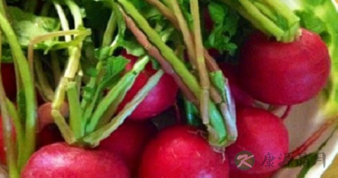 小水萝卜的营养价值_吃小水萝卜的好处 小水萝卜的营养价值_吃小水萝卜的好处