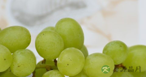 葡萄的正确吃法