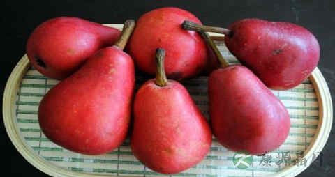 红啤梨的营养价值_吃红啤梨的好处