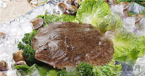 多宝鱼的营养价值_吃多宝鱼的好处