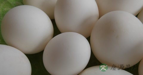 常吃咸鸭蛋有危害吗
