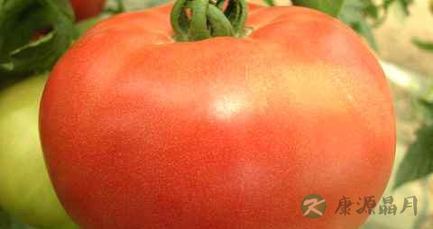 西红柿怎么吃祛痘