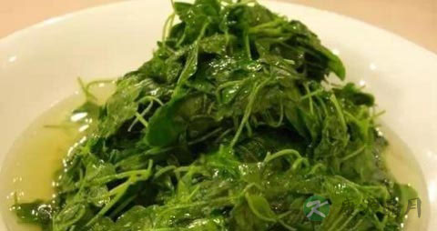 地米菜的营养价值_吃地米菜的好处 地米菜的营养价值_吃地米菜的好处