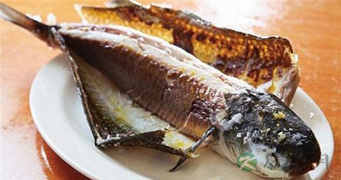 乌头鱼的吃法_哪些人不能吃乌头鱼