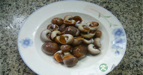 肉螺的吃法_哪些人不能吃肉螺