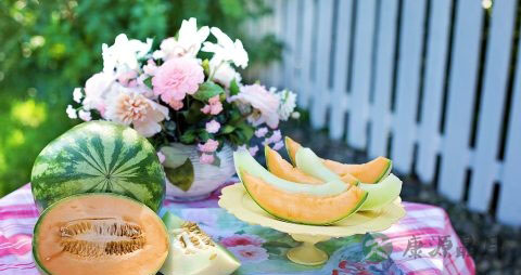 哈密瓜什么时候成熟