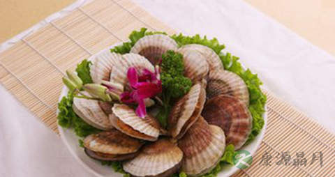 夏威夷贝的营养价值_吃夏威夷贝的好处