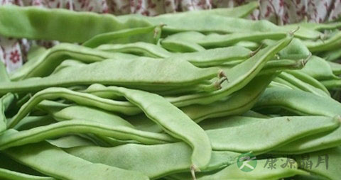 油豆角的吃法_哪些人不能吃油豆角