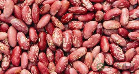 花豆的吃法_哪些人不能吃花豆