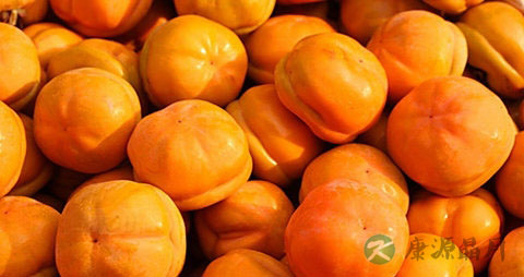 磨盘柿的吃法_哪些人不能吃磨盘柿 磨盘柿的吃法_哪些人不能吃磨盘柿