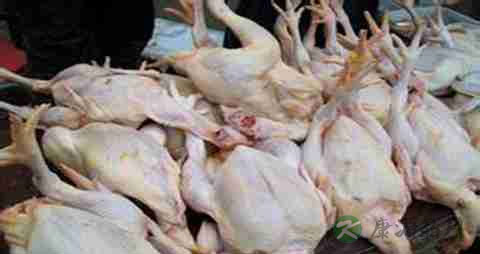 仔鸡的营养价值_吃仔鸡的好处