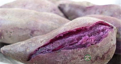 生紫薯怎么保存 生紫薯怎么保存